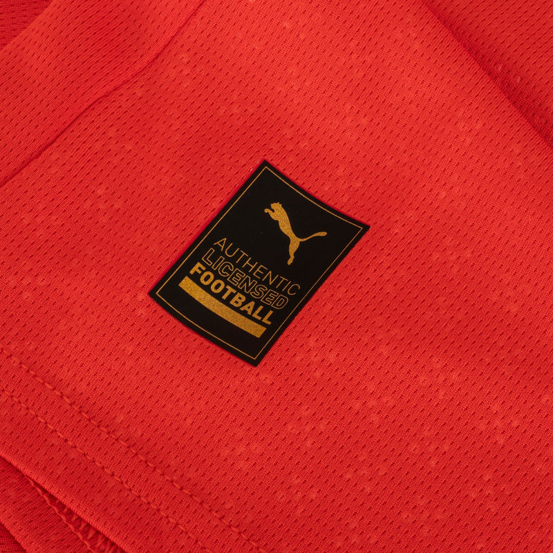 Camisa Portugal I 25/26 Puma Torcedor Masculina - Vermelha e Verde