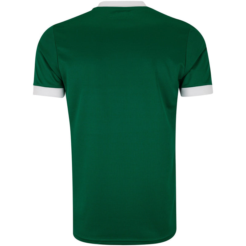 Camisa Palmeiras I 2025/26 Puma Masculina Torcedor - Verde