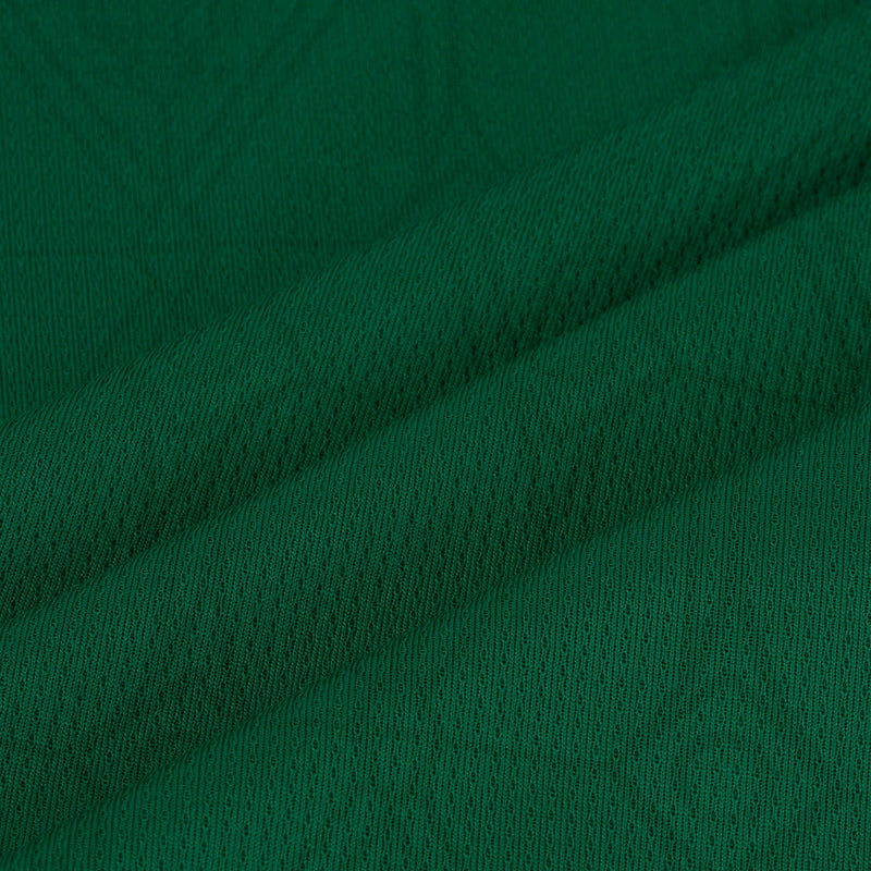 Camisa Palmeiras I 2025/26 Puma Masculina Torcedor - Verde