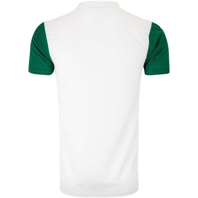 Camisa Palmeiras II 2025/26 Puma Masculina Torcedor - Branca